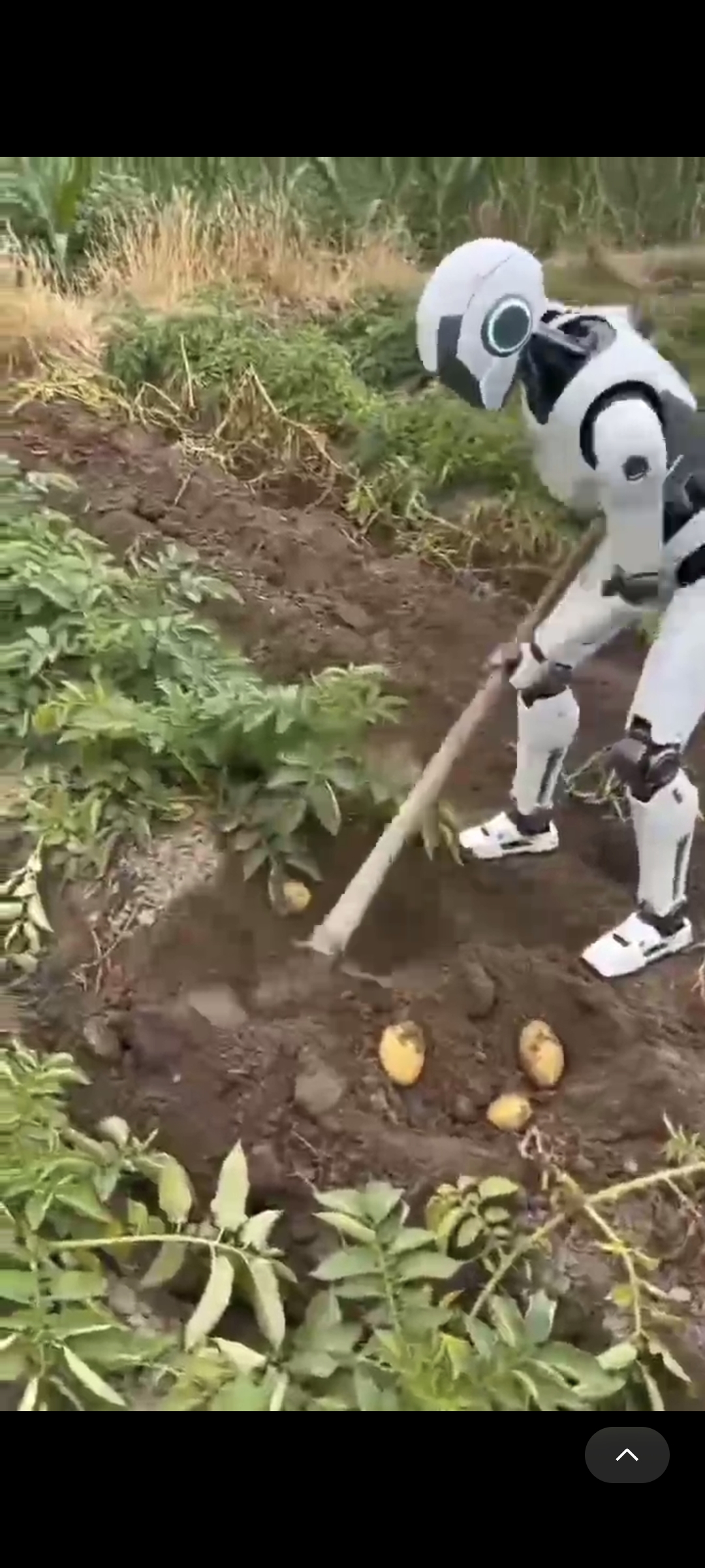 a99349f9dd60da0b94574e996df45633